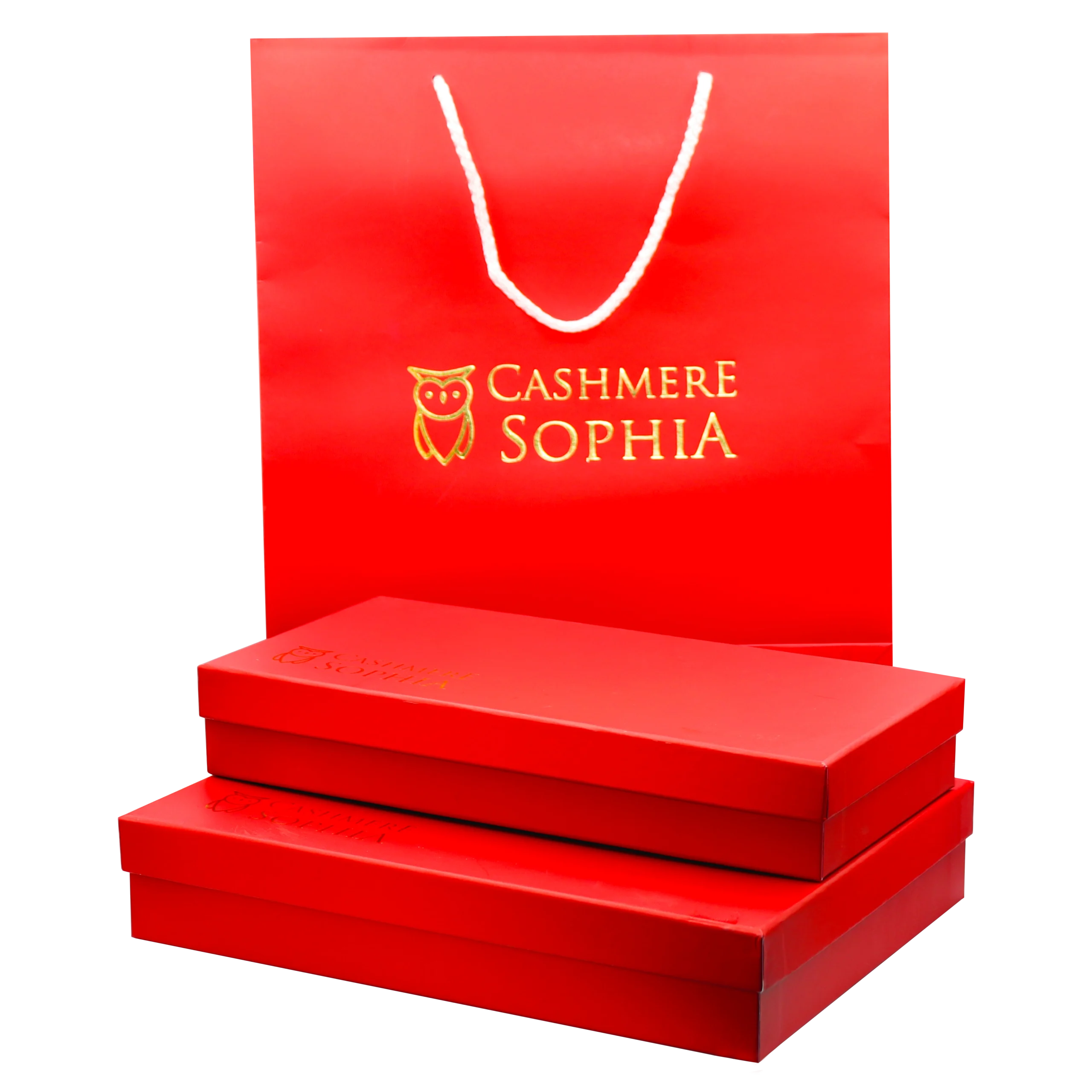 cashmere-taslamali-yaldizli-kutu-canta